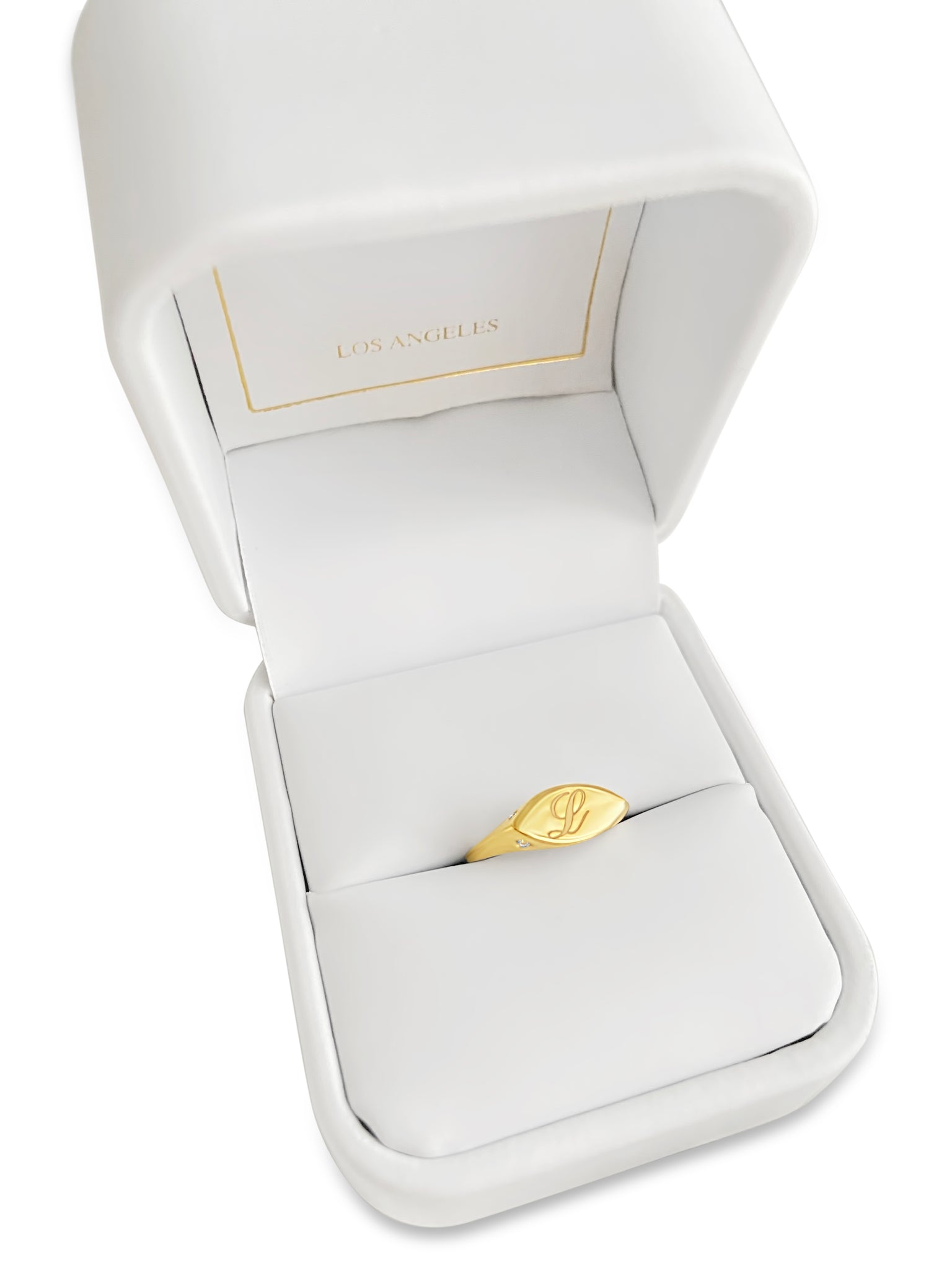 Jacqueline Diamond Signet Ring in 14K Solid Gold